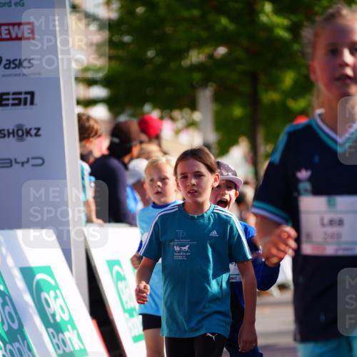 20.09.2026 - PSD Bank Halbmarathon LAZAROV Photography http://msf.ph/oto/10548231 20.09.2026 10:32:20 Ziel 117, 120, 164, 170, 205, 249, 272, 285, 299, 300, 346, 453 meine-sportfotos.de