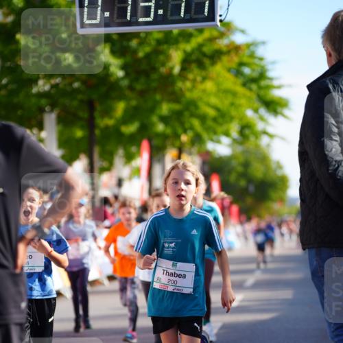 20.09.2026 - PSD Bank Halbmarathon LAZAROV Photography http://msf.ph/oto/10548266 20.09.2026 10:32:42 Ziel 118, 125, 133, 178, 179, 182, 184, 191, 200, 209, 248, 288, 313, 333, 359, 396, 425, 443, 454 meine-sportfotos.de