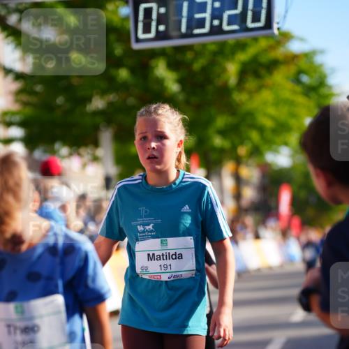 20.09.2026 - PSD Bank Halbmarathon LAZAROV Photography http://msf.ph/oto/10548273 20.09.2026 10:32:44 Ziel 125, 178, 179, 182, 184, 191, 200, 209, 288, 333, 359, 396, 425, 443 meine-sportfotos.de