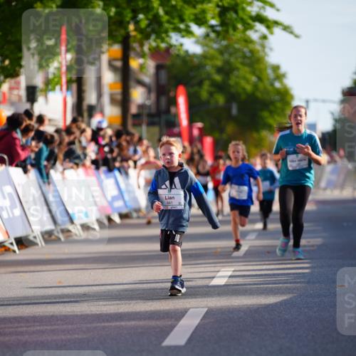20.09.2026 - PSD Bank Halbmarathon LAZAROV Photography http://msf.ph/oto/10548274 20.09.2026 10:32:48 Ziel 178, 179, 191, 199, 200, 288, 333, 359, 396, 425, 441 meine-sportfotos.de