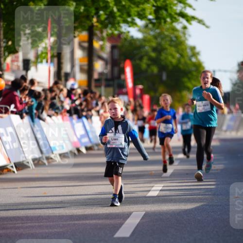 20.09.2026 - PSD Bank Halbmarathon LAZAROV Photography http://msf.ph/oto/10548275 20.09.2026 10:32:48 Ziel 178, 179, 191, 199, 200, 288, 333, 359, 396, 425, 441 meine-sportfotos.de