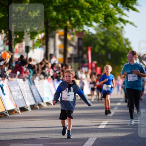 20.09.2026 - PSD Bank Halbmarathon LAZAROV Photography http://msf.ph/oto/10548277 20.09.2026 10:32:49 Ziel 178, 179, 191, 199, 246, 333, 359, 441 meine-sportfotos.de
