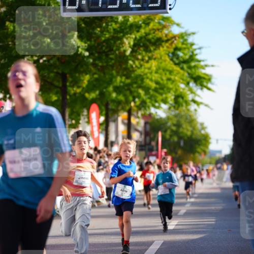 20.09.2026 - PSD Bank Halbmarathon LAZAROV Photography http://msf.ph/oto/10548287 20.09.2026 10:32:54 Ziel 197, 199, 229, 246, 335, 441 meine-sportfotos.de