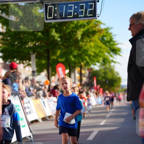 20.09.2026 - PSD Bank Halbmarathon LAZAROV Photography http://msf.ph/oto/10548290 20.09.2026 10:32:56 Ziel 197, 199, 229, 246, 335, 441, 444 meine-sportfotos.de