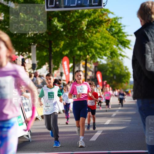 20.09.2026 - PSD Bank Halbmarathon LAZAROV Photography http://msf.ph/oto/10548310 20.09.2026 10:33:07 Ziel 139, 235, 238, 247, 291, 302, 339, 374, 387, 444 meine-sportfotos.de