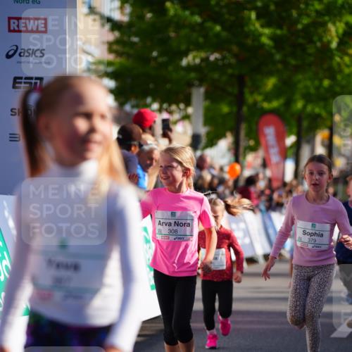 20.09.2026 - PSD Bank Halbmarathon LAZAROV Photography http://msf.ph/oto/10548325 20.09.2026 10:33:14 Ziel 139, 235, 296, 308, 316, 339, 379, 386, 387 meine-sportfotos.de