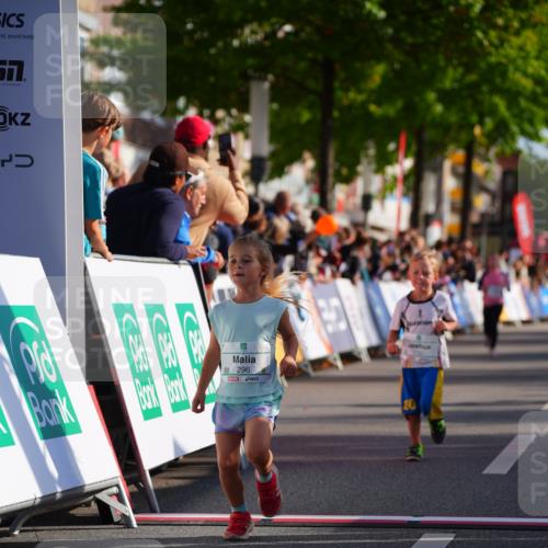 20.09.2026 - PSD Bank Halbmarathon LAZAROV Photography http://msf.ph/oto/10548335 20.09.2026 10:33:19 Ziel 230, 232, 296, 308, 316, 379, 386, 409 meine-sportfotos.de
