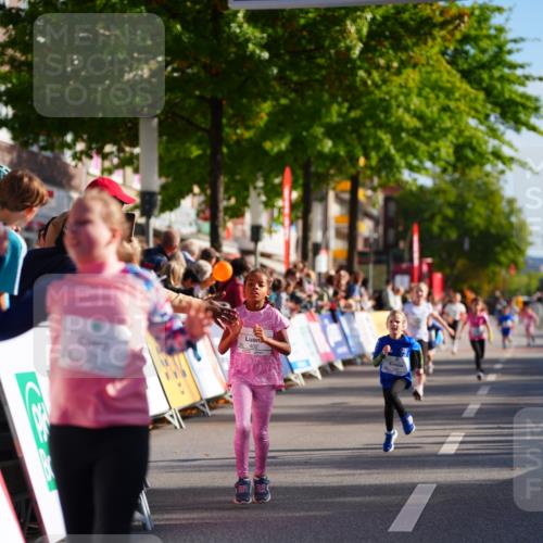 20.09.2026 - PSD Bank Halbmarathon LAZAROV Photography http://msf.ph/oto/10548349 20.09.2026 10:33:26 Ziel 106, 230, 232, 234, 255, 296, 402, 409 meine-sportfotos.de