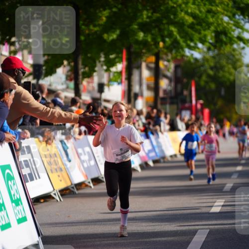 20.09.2026 - PSD Bank Halbmarathon LAZAROV Photography http://msf.ph/oto/10548367 20.09.2026 10:33:37 Ziel 151, 254, 255, 325 meine-sportfotos.de