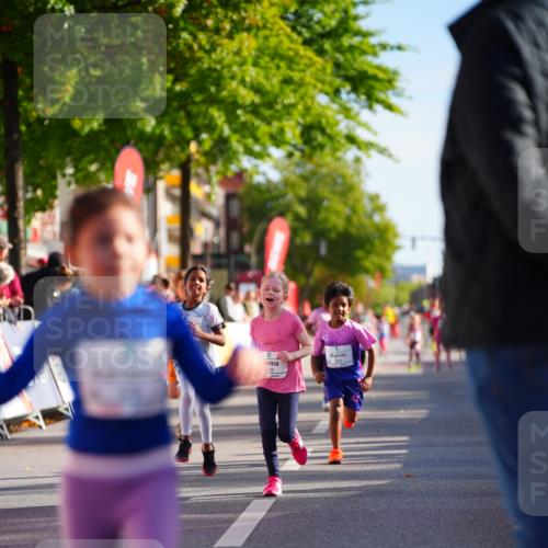 20.09.2026 - PSD Bank Halbmarathon LAZAROV Photography http://msf.ph/oto/10548425 20.09.2026 10:34:10 Ziel 148, 171, 196, 269, 376, 389, 390 meine-sportfotos.de
