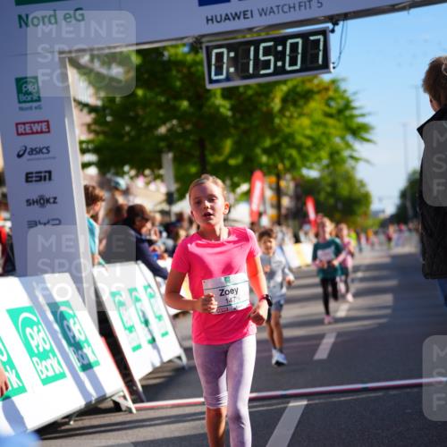 20.09.2026 - PSD Bank Halbmarathon LAZAROV Photography http://msf.ph/oto/10548465 20.09.2026 10:34:31 Ziel 143, 147, 168, 239, 267, 268, 270, 350, 367 meine-sportfotos.de