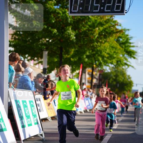 20.09.2026 - PSD Bank Halbmarathon LAZAROV Photography http://msf.ph/oto/10548485 20.09.2026 10:34:52 Ziel 195, 383, 400, 403, 452 meine-sportfotos.de