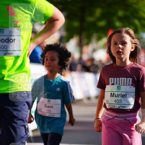 20.09.2026 - PSD Bank Halbmarathon LAZAROV Photography http://msf.ph/oto/10548495 20.09.2026 10:34:55 Ziel 195, 383, 400, 403, 452 meine-sportfotos.de