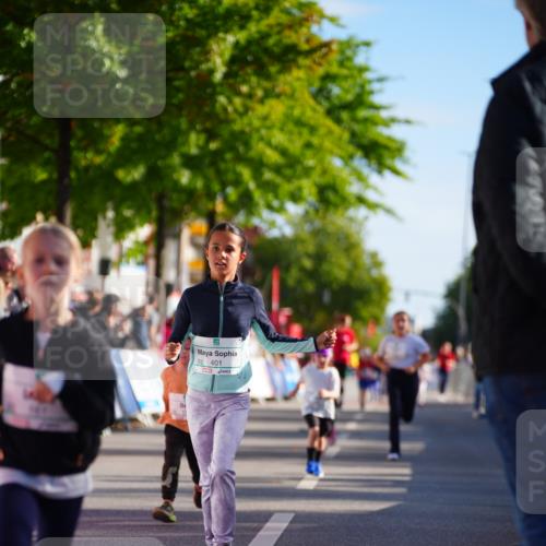 20.09.2026 - PSD Bank Halbmarathon LAZAROV Photography http://msf.ph/oto/10548512 20.09.2026 10:35:04 Ziel 119, 161, 163, 334, 378, 401, 428 meine-sportfotos.de