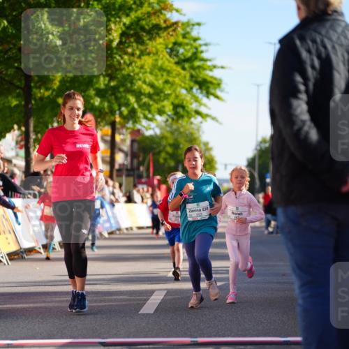 20.09.2026 - PSD Bank Halbmarathon LAZAROV Photography http://msf.ph/oto/10548528 20.09.2026 10:35:15 Ziel 163, 203, 287, 303, 334, 428 meine-sportfotos.de