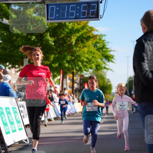 20.09.2026 - PSD Bank Halbmarathon LAZAROV Photography http://msf.ph/oto/10548531 20.09.2026 10:35:16 Ziel 203, 287, 303, 311, 334 meine-sportfotos.de
