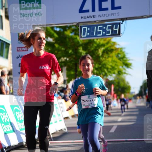 20.09.2026 - PSD Bank Halbmarathon LAZAROV Photography http://msf.ph/oto/10548537 20.09.2026 10:35:18 Ziel 203, 287, 303, 311, 423, 440 meine-sportfotos.de