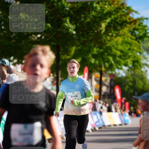 20.09.2026 - PSD Bank Halbmarathon LAZAROV Photography http://msf.ph/oto/10548576 20.09.2026 10:35:40 Ziel 169, 192, 320, 366, 404 meine-sportfotos.de