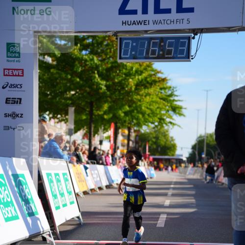 20.09.2026 - PSD Bank Halbmarathon LAZAROV Photography http://msf.ph/oto/10548600 20.09.2026 10:36:18 Ziel 442 meine-sportfotos.de