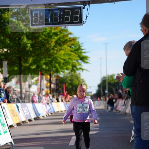 20.09.2026 - PSD Bank Halbmarathon LAZAROV Photography http://msf.ph/oto/10548627 20.09.2026 10:36:57 Ziel 222, 286, 289 meine-sportfotos.de