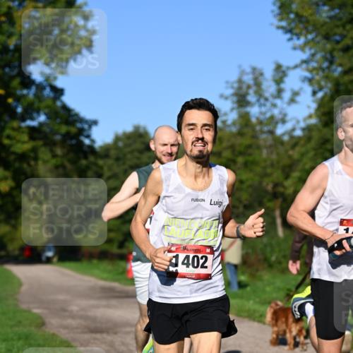 27.09.2026 - 34. Volkslauf durch das schöne Alstertal Dr. Thomas Lammeyer http://msf.ph/oto/10561107 27.09.2026 10:03:34 Laufen 1402 meine-sportfotos.de