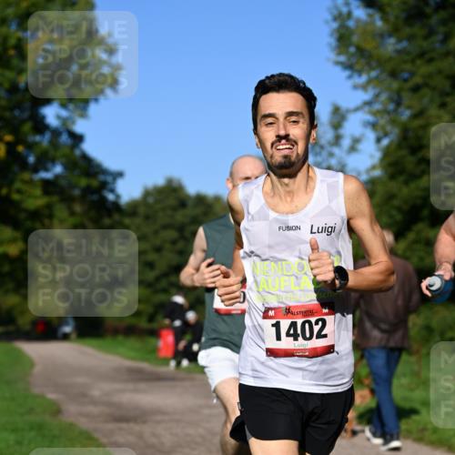 27.09.2026 - 34. Volkslauf durch das schöne Alstertal Dr. Thomas Lammeyer http://msf.ph/oto/10561109 27.09.2026 10:03:34 Laufen 1402 meine-sportfotos.de