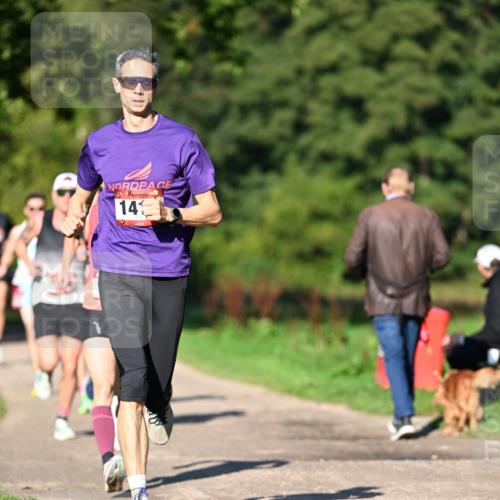 27.09.2026 - 34. Volkslauf durch das schöne Alstertal Dr. Thomas Lammeyer http://msf.ph/oto/10561117 27.09.2026 10:03:46 Laufen 14 meine-sportfotos.de