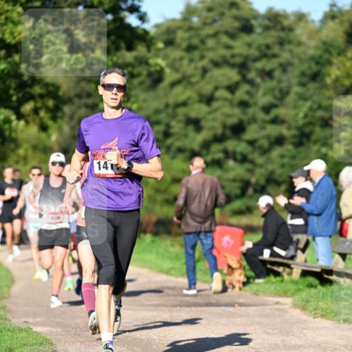 27.09.2026 - 34. Volkslauf durch das schöne Alstertal Dr. Thomas Lammeyer http://msf.ph/oto/10561122 27.09.2026 10:03:47 Laufen 14 meine-sportfotos.de