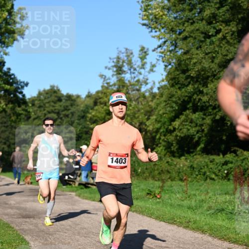 27.09.2026 - 34. Volkslauf durch das schöne Alstertal Dr. Thomas Lammeyer http://msf.ph/oto/10561150 27.09.2026 10:03:52 Laufen 709, 1403 meine-sportfotos.de