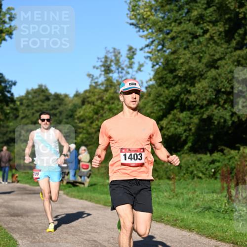 27.09.2026 - 34. Volkslauf durch das schöne Alstertal Dr. Thomas Lammeyer http://msf.ph/oto/10561152 27.09.2026 10:03:52 Laufen 709, 1403 meine-sportfotos.de