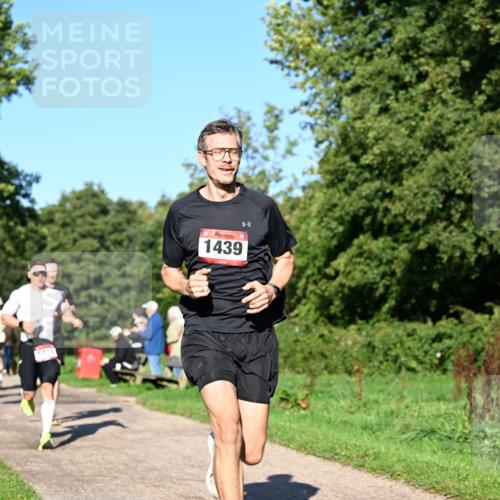 27.09.2026 - 34. Volkslauf durch das schöne Alstertal Dr. Thomas Lammeyer http://msf.ph/oto/10561168 27.09.2026 10:03:56 Laufen 1411, 1439 meine-sportfotos.de