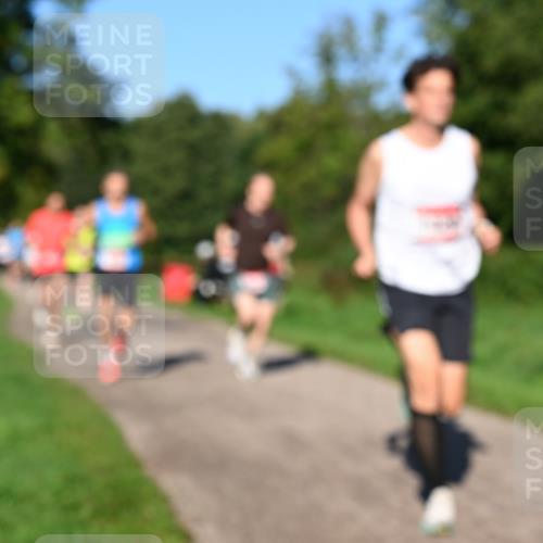 27.09.2026 - 35. Volkslauf durch das schöne Alstertal Dr. Thomas Lammeyer http://msf.ph/oto/10561280 27.09.2026 10:04:16 Laufen  meine-sportfotos.de