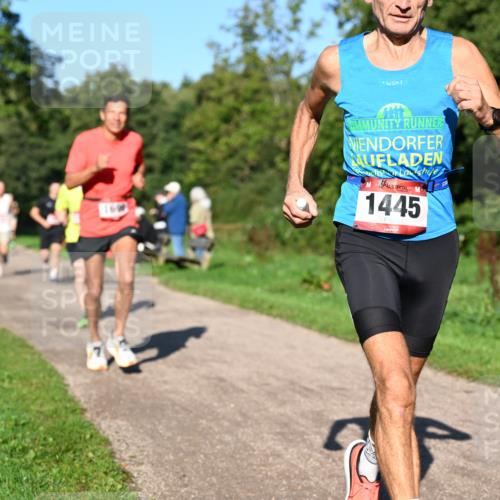 27.09.2026 - 35. Volkslauf durch das schöne Alstertal Dr. Thomas Lammeyer http://msf.ph/oto/10561297 27.09.2026 10:04:19 Laufen 1445 meine-sportfotos.de