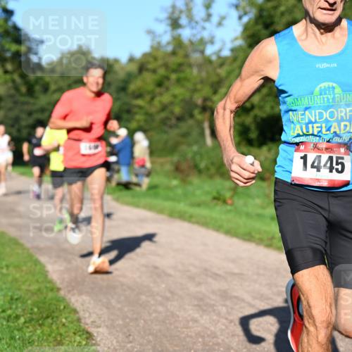 27.09.2026 - 35. Volkslauf durch das schöne Alstertal Dr. Thomas Lammeyer http://msf.ph/oto/10561298 27.09.2026 10:04:19 Laufen 1445 meine-sportfotos.de