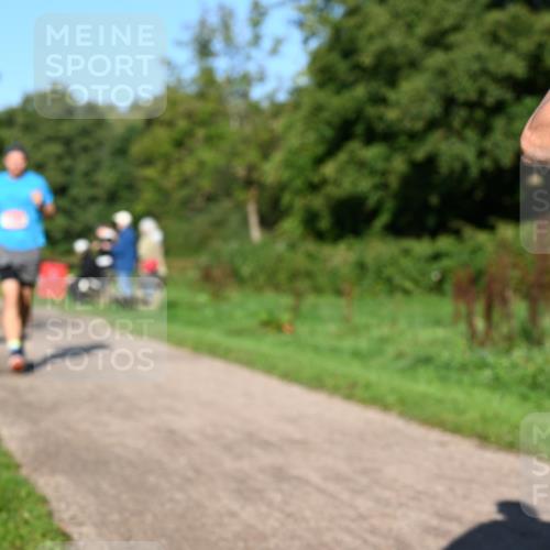 27.09.2026 - 35. Volkslauf durch das schöne Alstertal Dr. Thomas Lammeyer http://msf.ph/oto/10561338 27.09.2026 10:04:25 Laufen  meine-sportfotos.de