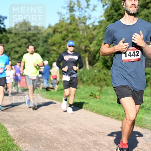 27.09.2026 - 34. Volkslauf durch das schöne Alstertal Dr. Thomas Lammeyer http://msf.ph/oto/10561424 27.09.2026 10:04:41 Laufen 1442 meine-sportfotos.de