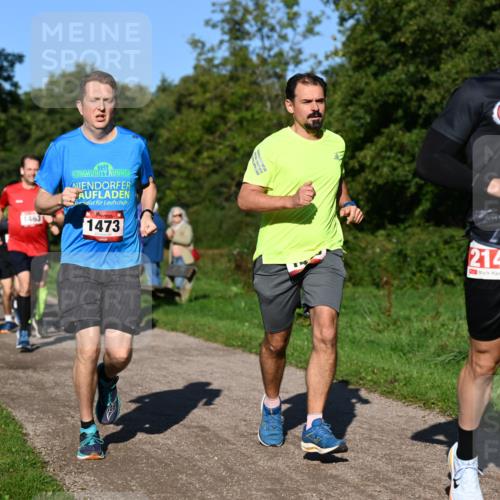 27.09.2026 - 35. Volkslauf durch das schöne Alstertal Dr. Thomas Lammeyer http://msf.ph/oto/10561436 27.09.2026 10:04:43 Laufen 1463, 1473, 2142 meine-sportfotos.de