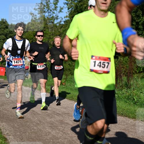 27.09.2026 - 35. Volkslauf durch das schöne Alstertal Dr. Thomas Lammeyer http://msf.ph/oto/10561479 27.09.2026 10:04:50 Laufen 1484, 1008, 1434, 1471, 1438, 1452, 1457 meine-sportfotos.de