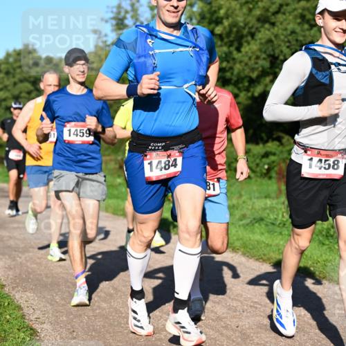 27.09.2026 - 34. Volkslauf durch das schöne Alstertal Dr. Thomas Lammeyer http://msf.ph/oto/10561506 27.09.2026 10:04:54 Laufen 1459, 1484, 81, 1458 meine-sportfotos.de