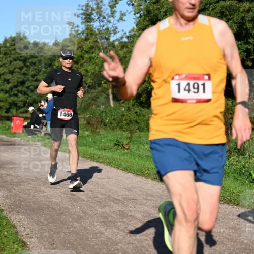 27.09.2026 - 34. Volkslauf durch das schöne Alstertal Dr. Thomas Lammeyer http://msf.ph/oto/10561516 27.09.2026 10:04:56 Laufen 1466, 1578, 1491 meine-sportfotos.de