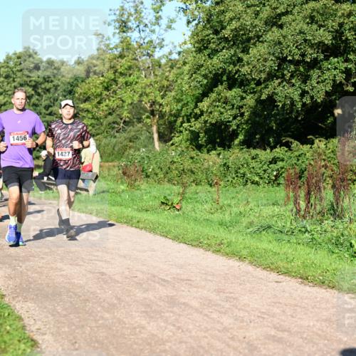 27.09.2026 - 34. Volkslauf durch das schöne Alstertal Dr. Thomas Lammeyer http://msf.ph/oto/10561542 27.09.2026 10:05:02 Laufen 1009, 1461, 1456, 1427 meine-sportfotos.de