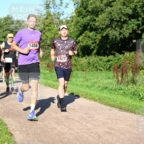 27.09.2026 - 34. Volkslauf durch das schöne Alstertal Dr. Thomas Lammeyer http://msf.ph/oto/10561549 27.09.2026 10:05:03 Laufen 1009, 1456, 1427 meine-sportfotos.de