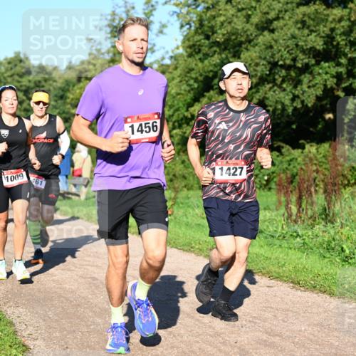 27.09.2026 - 35. Volkslauf durch das schöne Alstertal Dr. Thomas Lammeyer http://msf.ph/oto/10561553 27.09.2026 10:05:04 Laufen 1456, 101, 1009, 461, 1427 meine-sportfotos.de