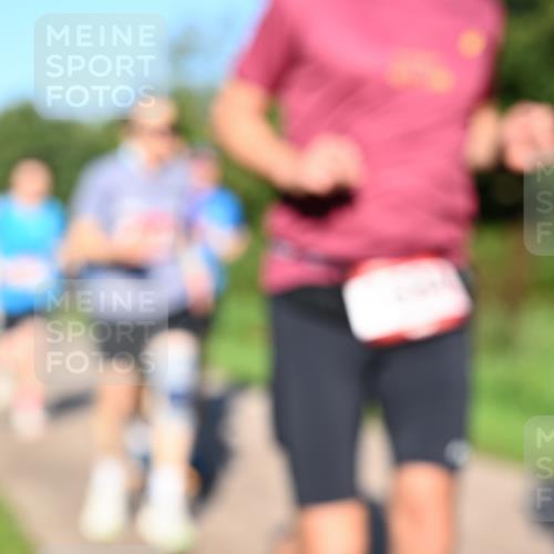 27.09.2026 - 35. Volkslauf durch das schöne Alstertal Dr. Thomas Lammeyer http://msf.ph/oto/10561585 27.09.2026 10:05:08 Laufen  meine-sportfotos.de