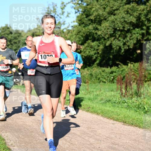 27.09.2026 - 35. Volkslauf durch das schöne Alstertal Dr. Thomas Lammeyer http://msf.ph/oto/10561631 27.09.2026 10:05:17 Laufen 1666, 1569, 102, 1510, 29 meine-sportfotos.de