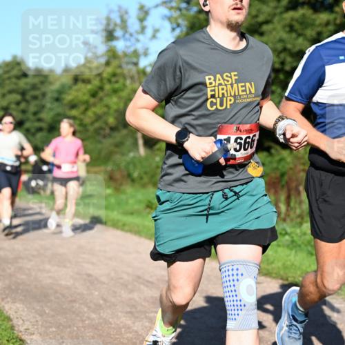 27.09.2026 - 35. Volkslauf durch das schöne Alstertal Dr. Thomas Lammeyer http://msf.ph/oto/10561643 27.09.2026 10:05:19 Laufen 212, 13, 2023, 566, 1569 meine-sportfotos.de