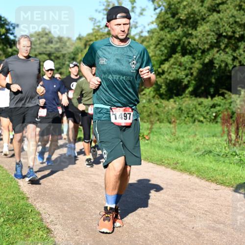 27.09.2026 - 35. Volkslauf durch das schöne Alstertal Dr. Thomas Lammeyer http://msf.ph/oto/10561682 27.09.2026 10:05:29 Laufen 101, 1497 meine-sportfotos.de