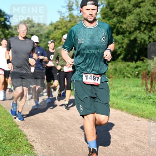 27.09.2026 - 35. Volkslauf durch das schöne Alstertal Dr. Thomas Lammeyer http://msf.ph/oto/10561684 27.09.2026 10:05:30 Laufen 1497 meine-sportfotos.de