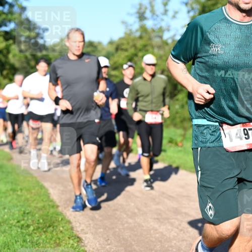 27.09.2026 - 35. Volkslauf durch das schöne Alstertal Dr. Thomas Lammeyer http://msf.ph/oto/10561687 27.09.2026 10:05:30 Laufen 497 meine-sportfotos.de
