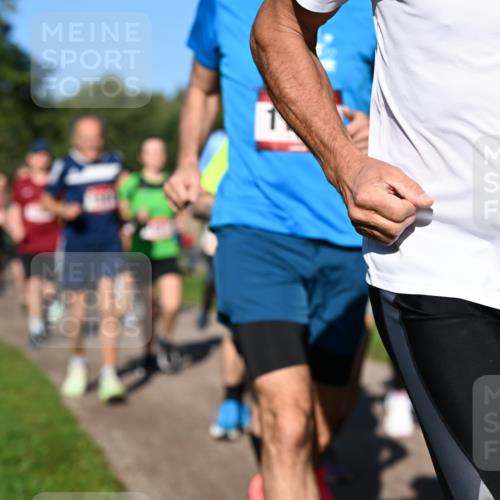 27.09.2026 - 35. Volkslauf durch das schöne Alstertal Dr. Thomas Lammeyer http://msf.ph/oto/10561703 27.09.2026 10:05:35 Laufen  meine-sportfotos.de